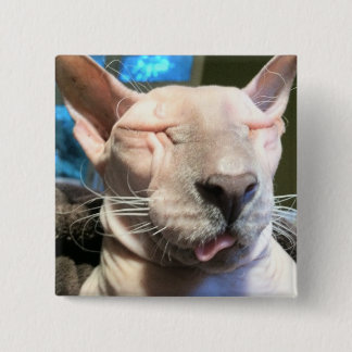 Macaron Carré 5 Cm Mauvais glaçon