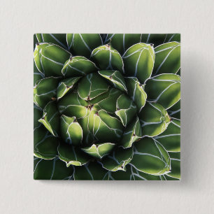 Macaron Carré 5 Cm N.A., États-Unis, Arizona, Tucson, Sonora Desert