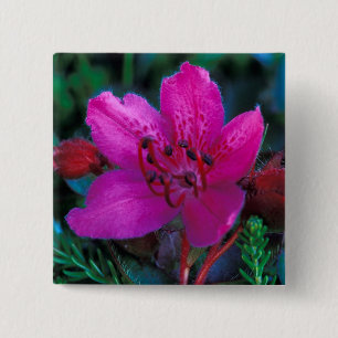 Macaron Carré 5 Cm NA, États-Unis, Alaska, Îles Aléoutiennes, Fleurs