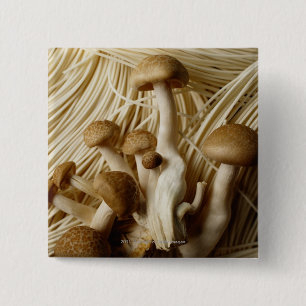 Macaron Carré 5 Cm Nouilles et champignons chinois