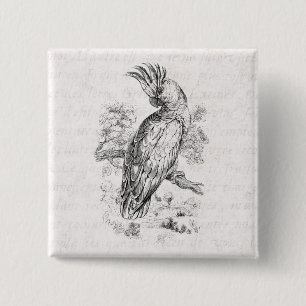Macaron Carré 5 Cm Oiseaux vintages de Cockatiel d'oiseau de
