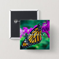 Orange Monarch Butterfly Explorer Script Moderne