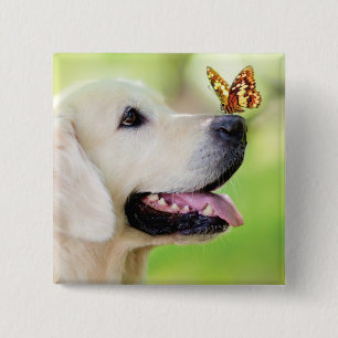 Macaron Carré 5 Cm Oreiller À Lancer Du Labrador Et Du Papillon