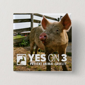 Macaron Carré 5 Cm Oui sur 3 ! Mini bouton