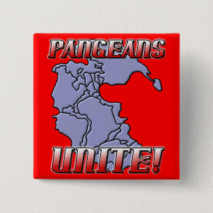 Macaron Carré 5 Cm Pangea Unir Bouton Géographie