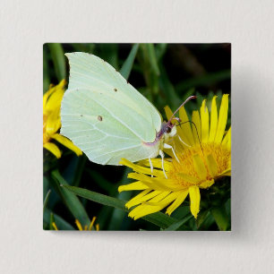 Macaron Carré 5 Cm Papillon sur le Pin jaune de bouton de fleur