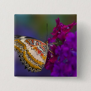 Macaron Carré 5 Cm Papillon tropical sur fleurs violettes