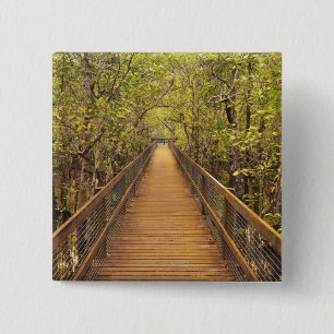 Macaron Carré 5 Cm Parc national de Daintree (patrimoine mondial de