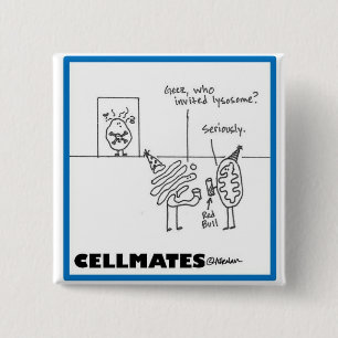 Macaron Carré 5 Cm Partie d'organelle