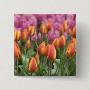 Macaron Carré 5 Cm Pays-Bas (aussi appelé Hollande), Lisse. Keukenhof