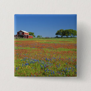 Macaron Carré 5 Cm Pays de colline du Texas, le Texas, pinceau du