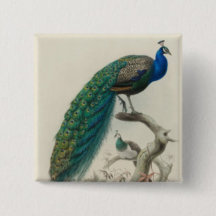 Macaron Carré 5 Cm Peacock vintage