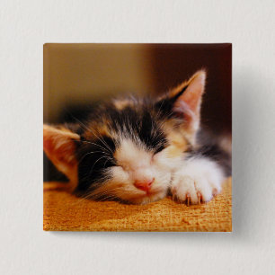 Macaron Carré 5 Cm Petit sommeil de Kitty