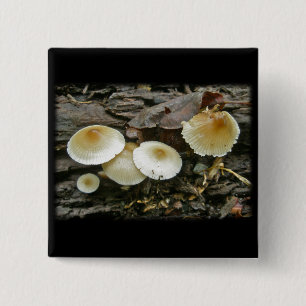 Macaron Carré 5 Cm Petits Parasols Champignons en rondins