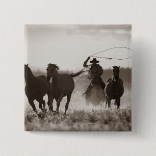 Macaron Carré 5 Cm Photo noire et blanche des chevaux d'un Lassoing