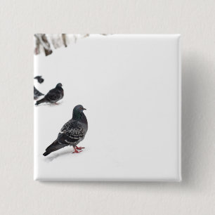 Macaron Carré 5 Cm Pigeons