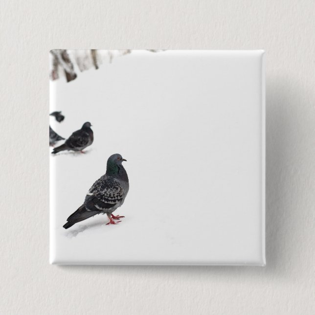 Macaron Carré 5 Cm Pigeons (Devant)