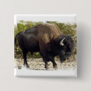 Macaron Carré 5 Cm Pin américain de carré de Buffalo