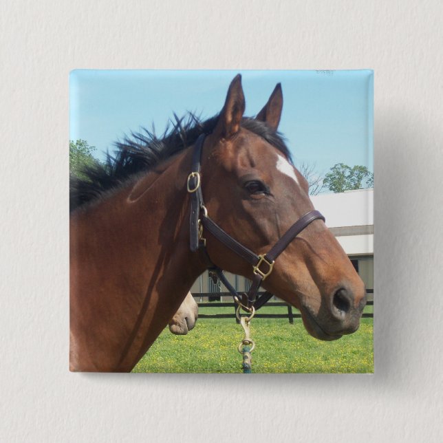 Macaron Carré 5 Cm Pin arabe vigilant de cheval (Devant)