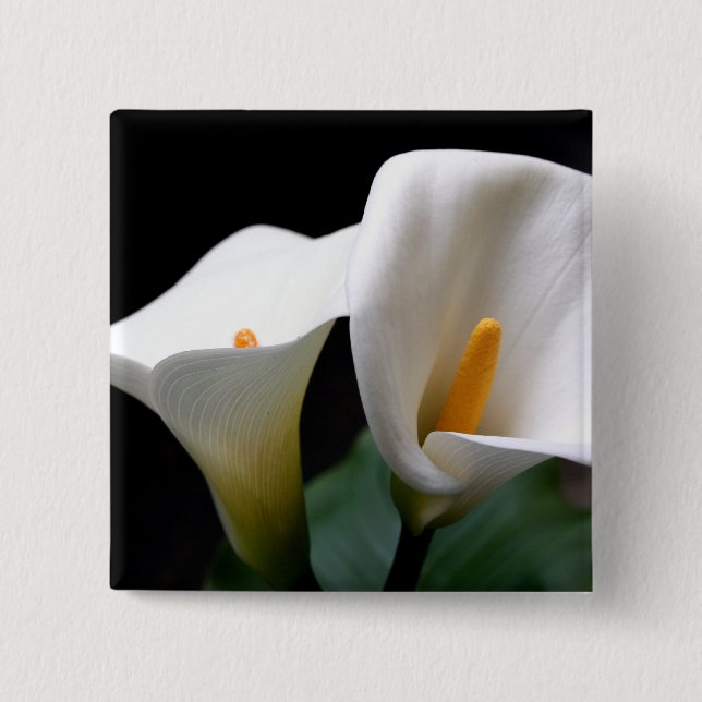Macaron Carré 5 Cm Pin blanc de carré de fleur de zantedeschia (Devant)
