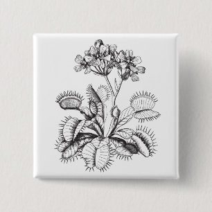 Macaron Carré 5 Cm Pin d'attrape-mouche de Vénus