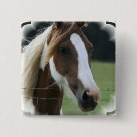 Pin de carré de poney de Pinto