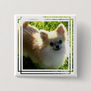 Macaron Carré 5 Cm Pin de chiots de Pomeranian