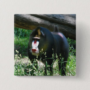 Macaron Carré 5 Cm Pin de Mandrill