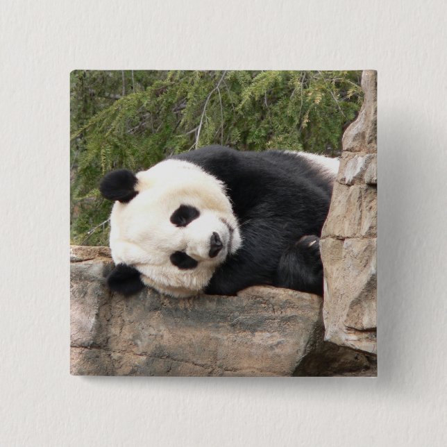 Macaron Carré 5 Cm Pin de panda (Devant)