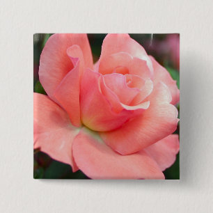 Macaron Carré 5 Cm Pin de rose de rose