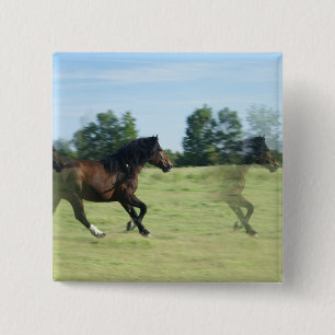 Macaron Carré 5 Cm Pin galopant de carré de mustangs