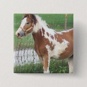 Macaron Carré 5 Cm Pin mignon de poney de peinture