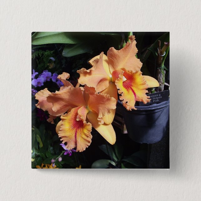 Macaron Carré 5 Cm Pin orange de corsage d'orchidée (Devant)