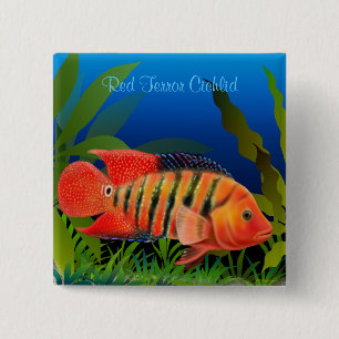 Macaron Carré 5 Cm Pin rouge de Cichlid de Festae de terreur