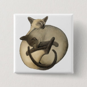 Macaron Carré 5 Cm Pin siamois somnolent