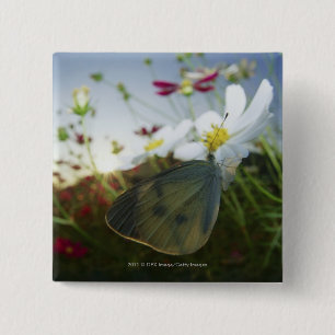 Macaron Carré 5 Cm Plan rapproché de papillon sur la fleur