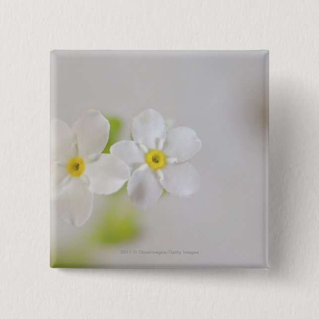 Macaron Carré 5 Cm Plan rapproché des fleurs (Devant)