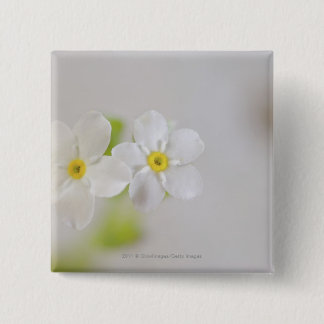 Macaron Carré 5 Cm Plan rapproché des fleurs