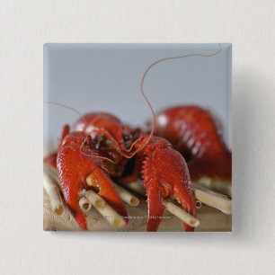 Macaron Carré 5 Cm Plan rapproché d'un crabe sur des bâtons