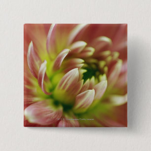 Macaron Carré 5 Cm Plan rapproché d'une fleur