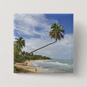 Macaron Carré 5 Cm Porto Rico. Plage de Tres Palmitas Porto Rico