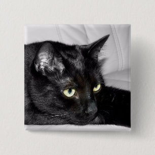 Macaron Carré 5 Cm Portrait de chat noir mignon