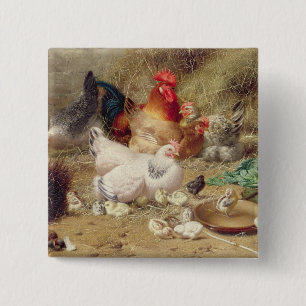 Macaron Carré 5 Cm Poules roosting avec leurs poulets