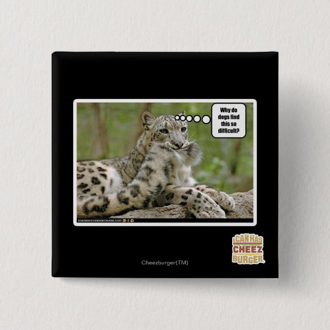 Macaron Carré 5 Cm Pourquoi les chiens trouvent-ils ceci si difficile (Devant)