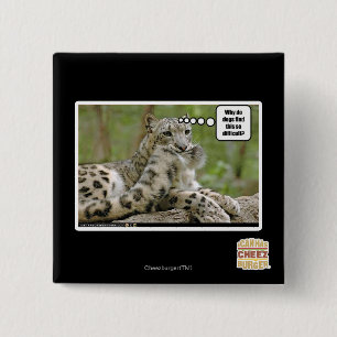 Macaron Carré 5 Cm Pourquoi les chiens trouvent-ils ceci si difficile