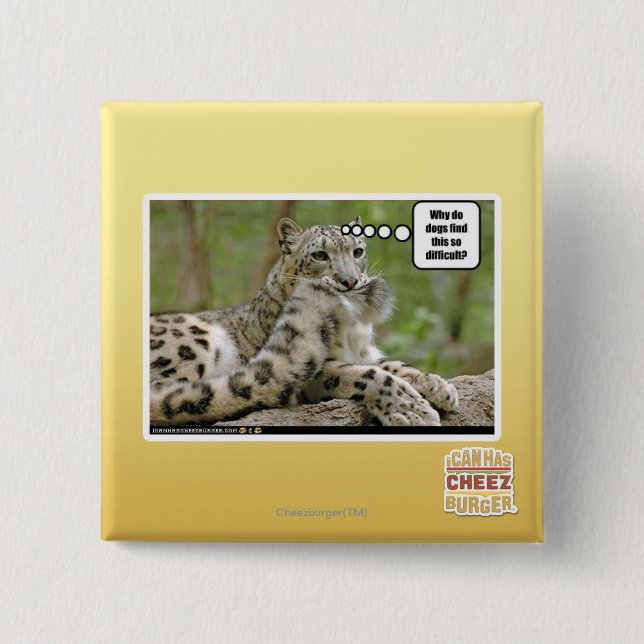 Macaron Carré 5 Cm Pourquoi les chiens trouvent-ils ceci si difficile (Devant)