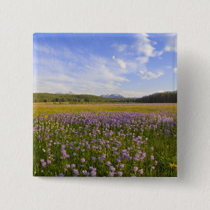 Macaron Carré 5 Cm Prairie de fleurs sauvages de penstemon dans les 2