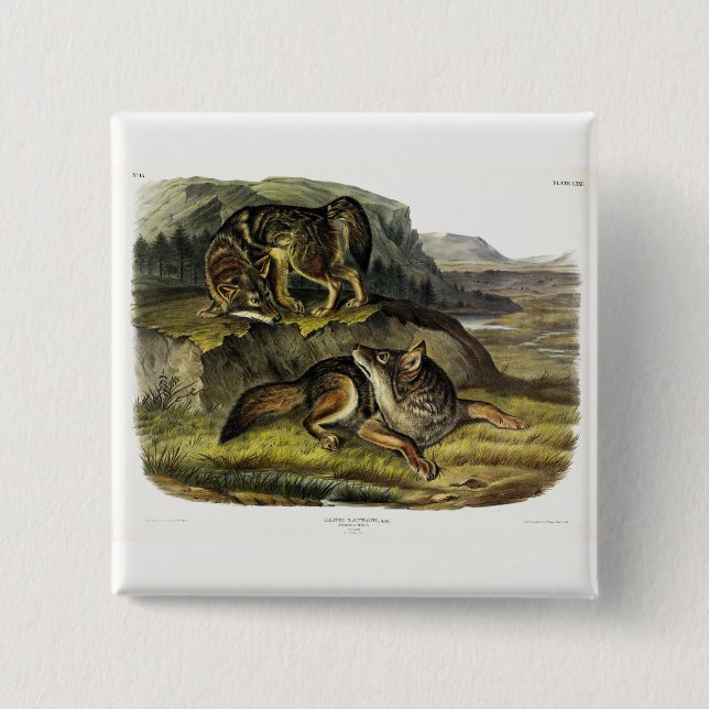 Macaron Carré 5 Cm Prairie Wolf (Devant)