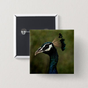 Macaron Carré 5 Cm Profil de Peacock