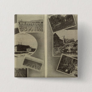 Macaron Carré 5 Cm Prospérité agricole, Oregon